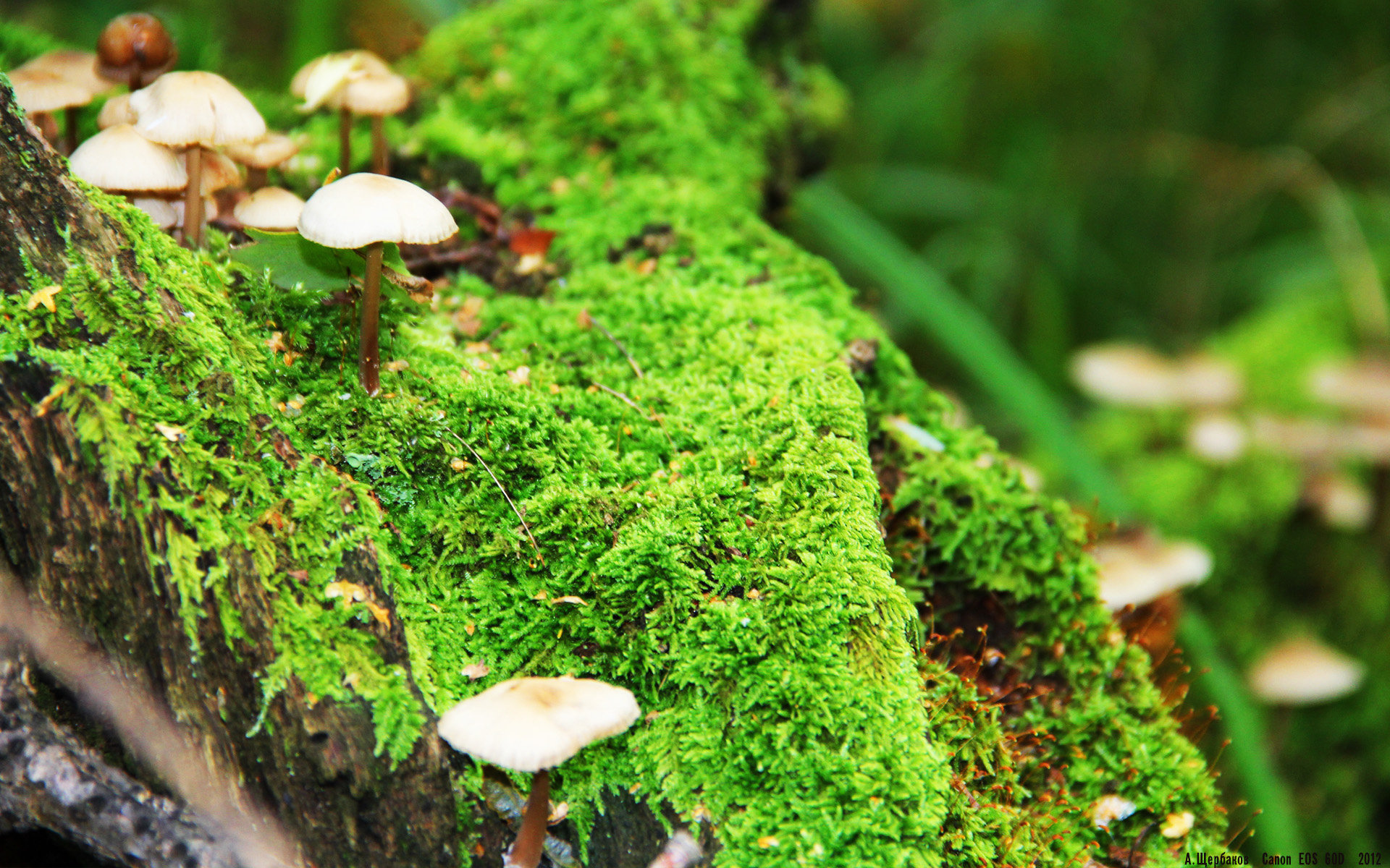 KAIYUNAPP-VALORANT 青训体系逐渐完善，valorant esport