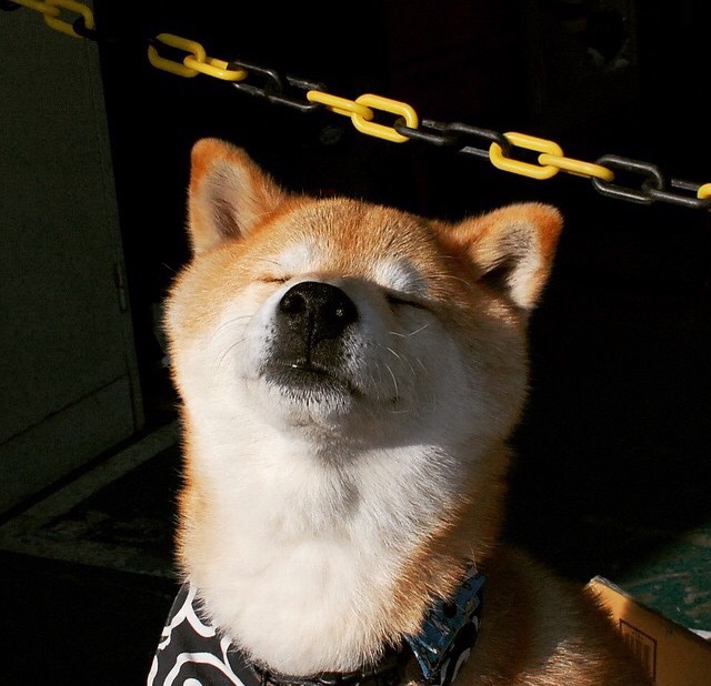 开云·体育官网APP下载-_城市跑步游乐场：运动与休闲的完美结合_，跑场乐手