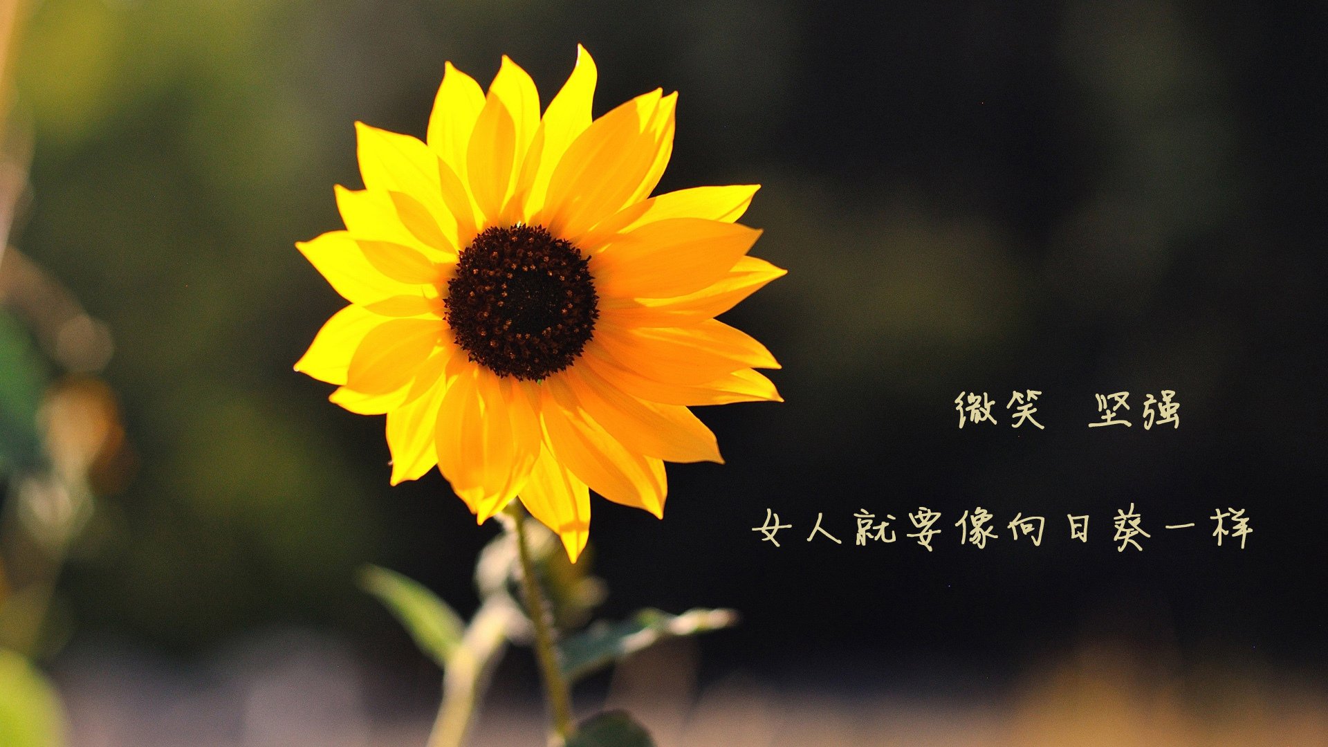 开云官网-“中国女足在世界杯预选赛中稳步推进，期待佳绩”，2021年中国女足世界杯预选赛结果