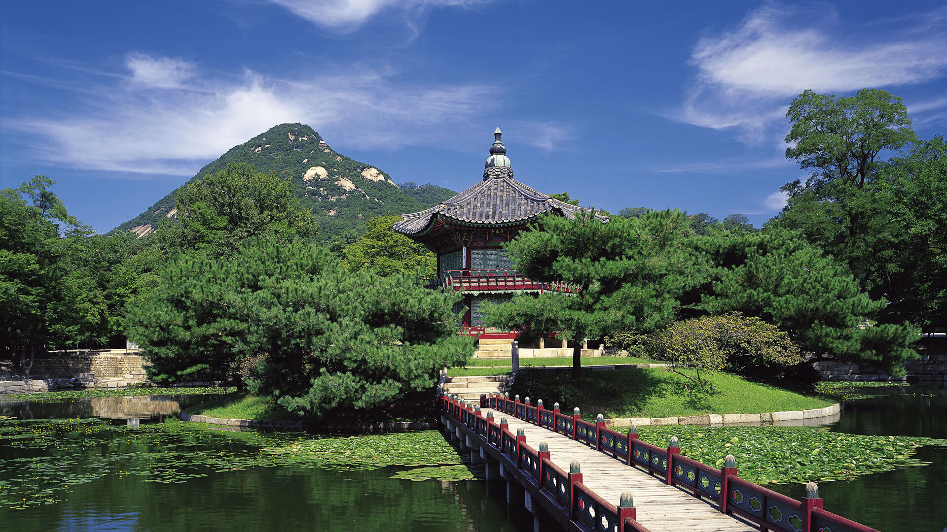 开云官网APP下载-“全球数据整合平台推动棒球竞技水平跃升——行业创新的最新实践”