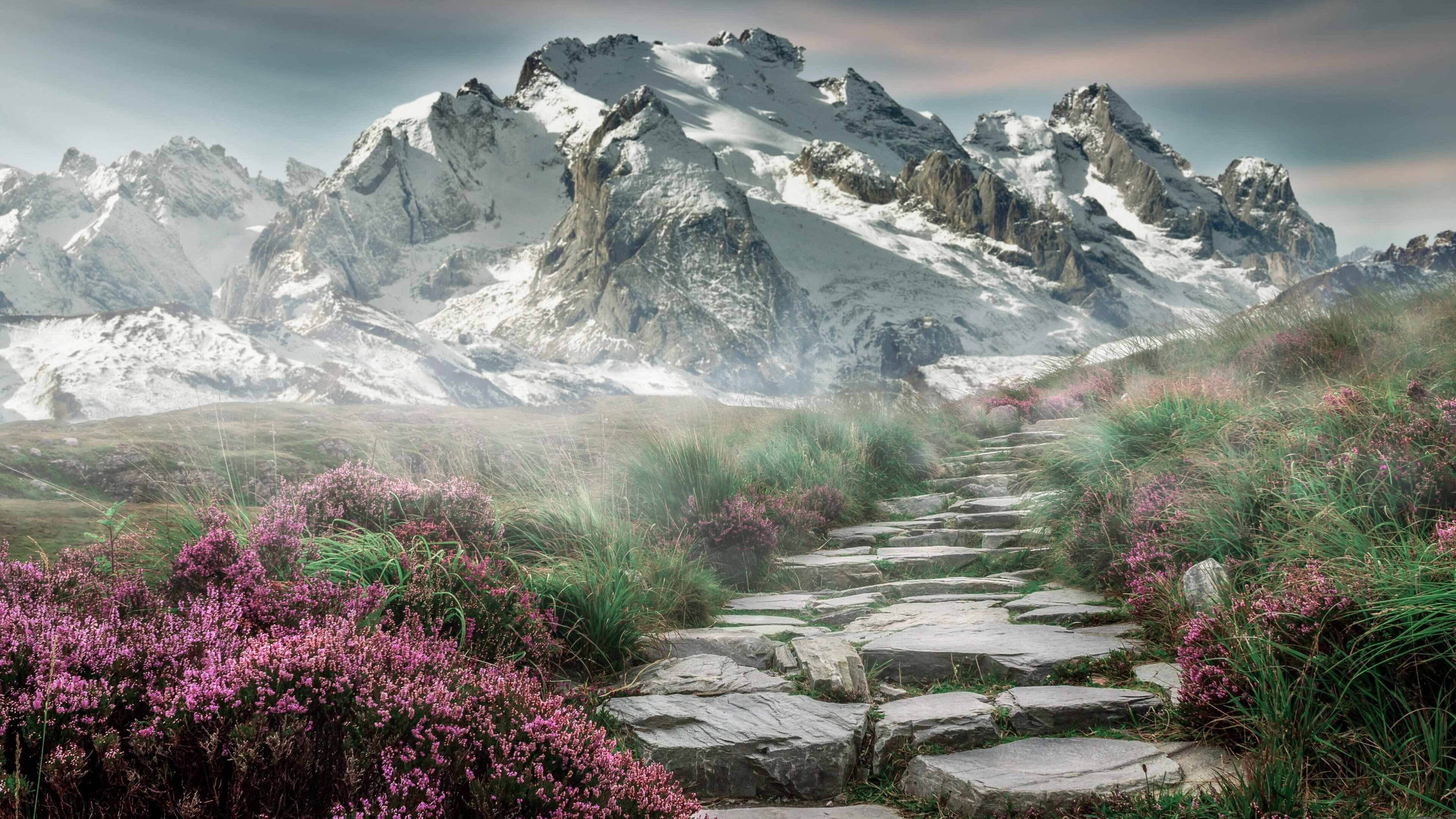 开云首页登录-“青春永续”青少年青训行业联盟在福州挂牌成立，推进行业规范发展