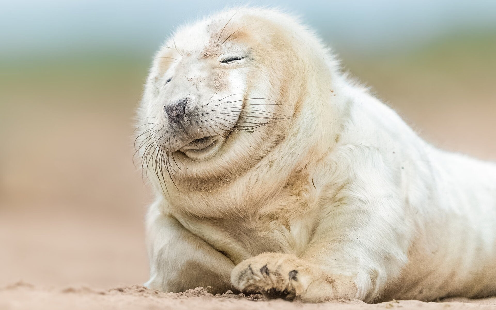 kaiyun-“青训技术创新融合，培养多元化的人才队伍”，青训 高质量的训练 什么意思