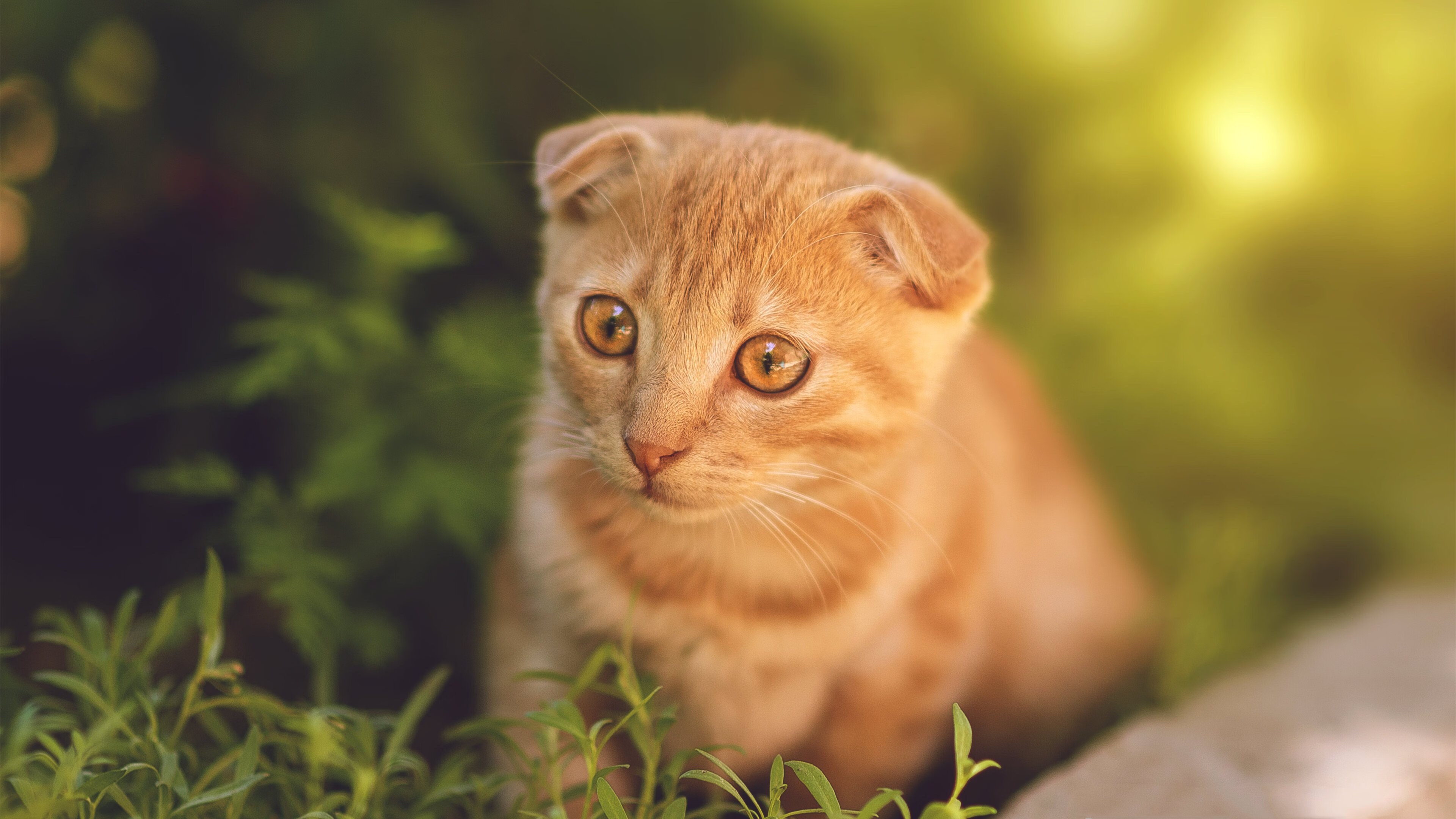 开云全站-“青训营引入VR技术，打造沉浸式训练体验”，青训营cf