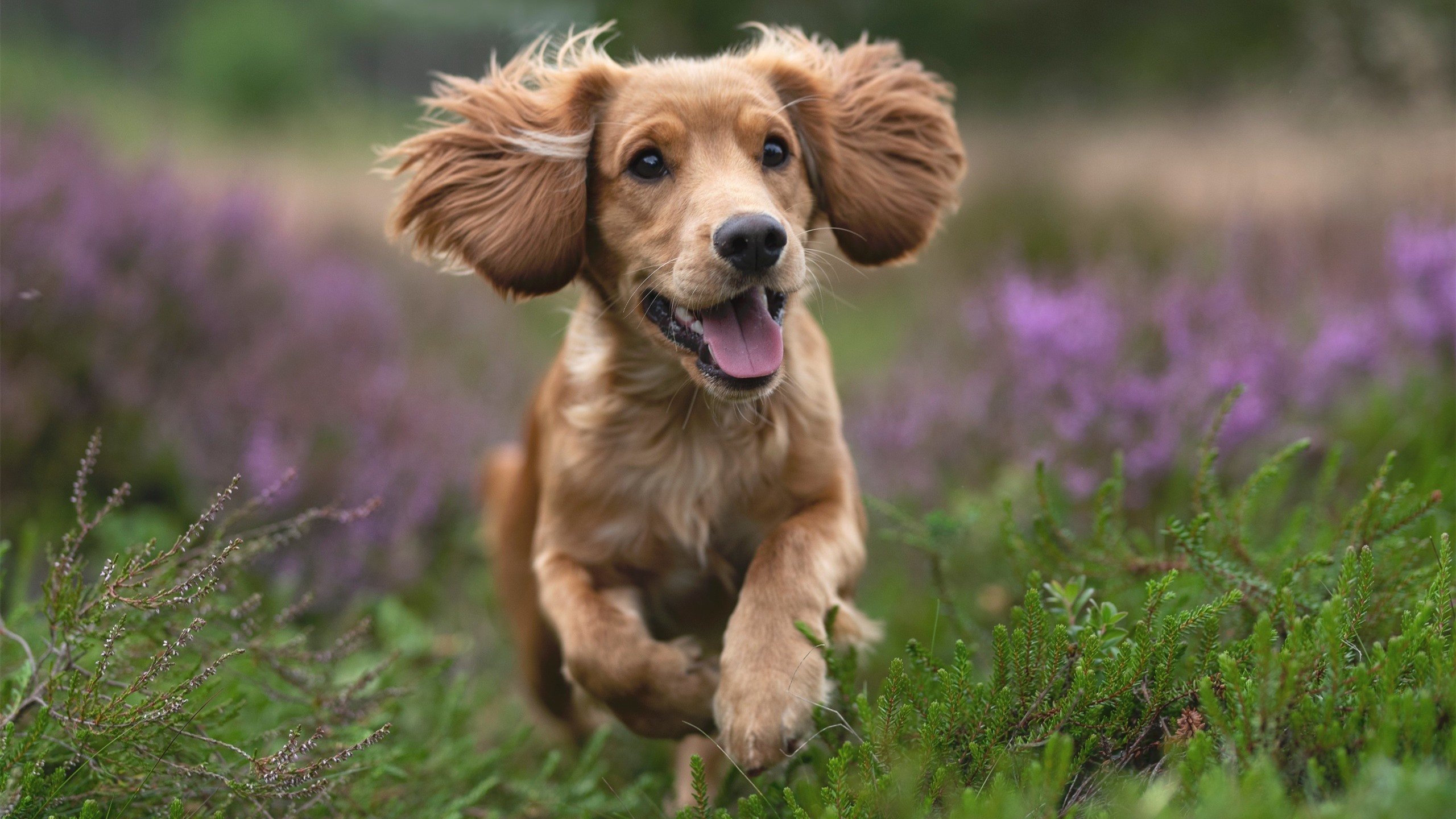 kaiyun-【比赛走向】从统计数据预测本季季后赛走向，季后赛出线形势