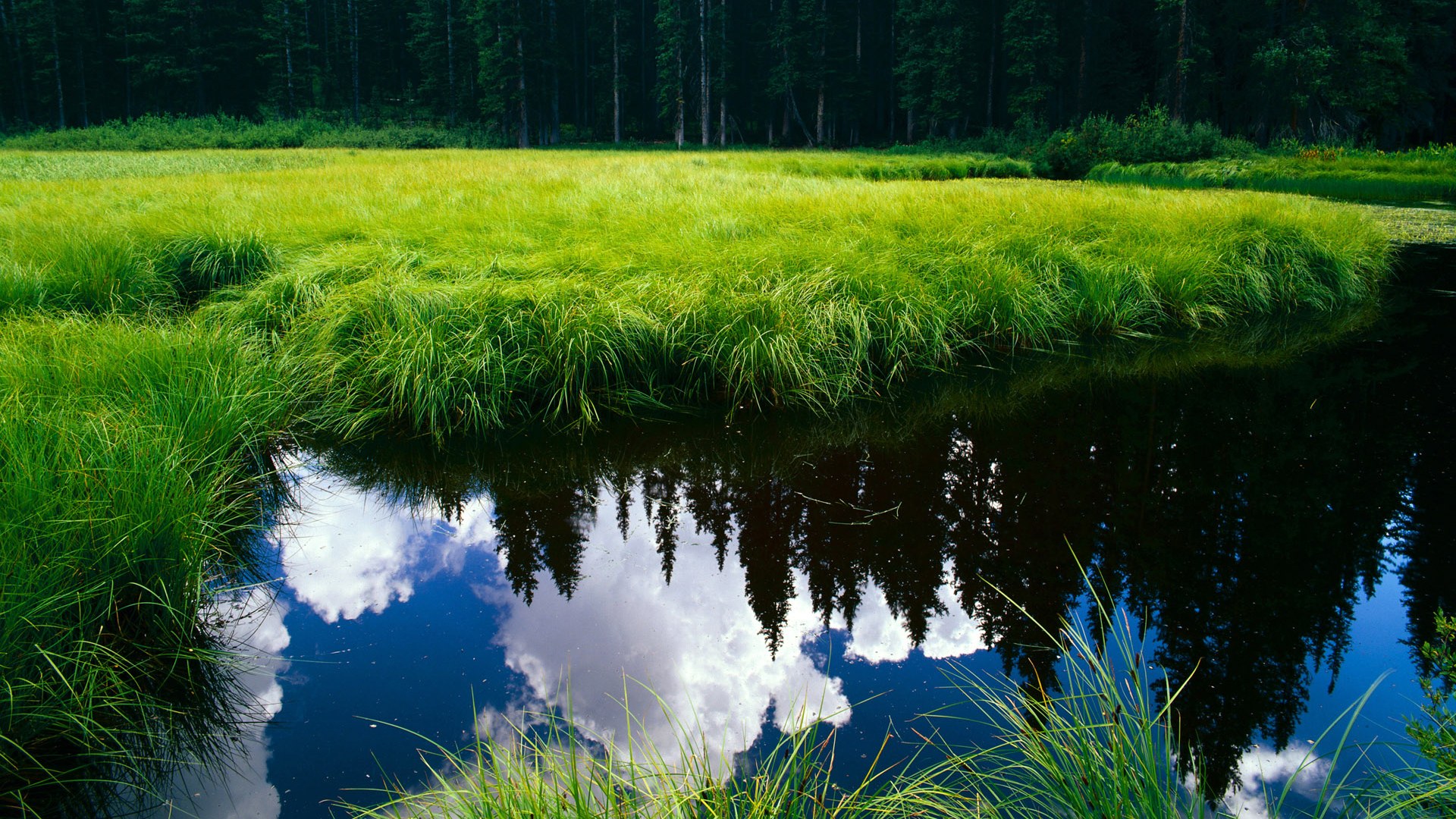 kaiyun官方入口登录-国际拳击联合会举办裁判培训班，提升执裁水平，国际拳击联盟