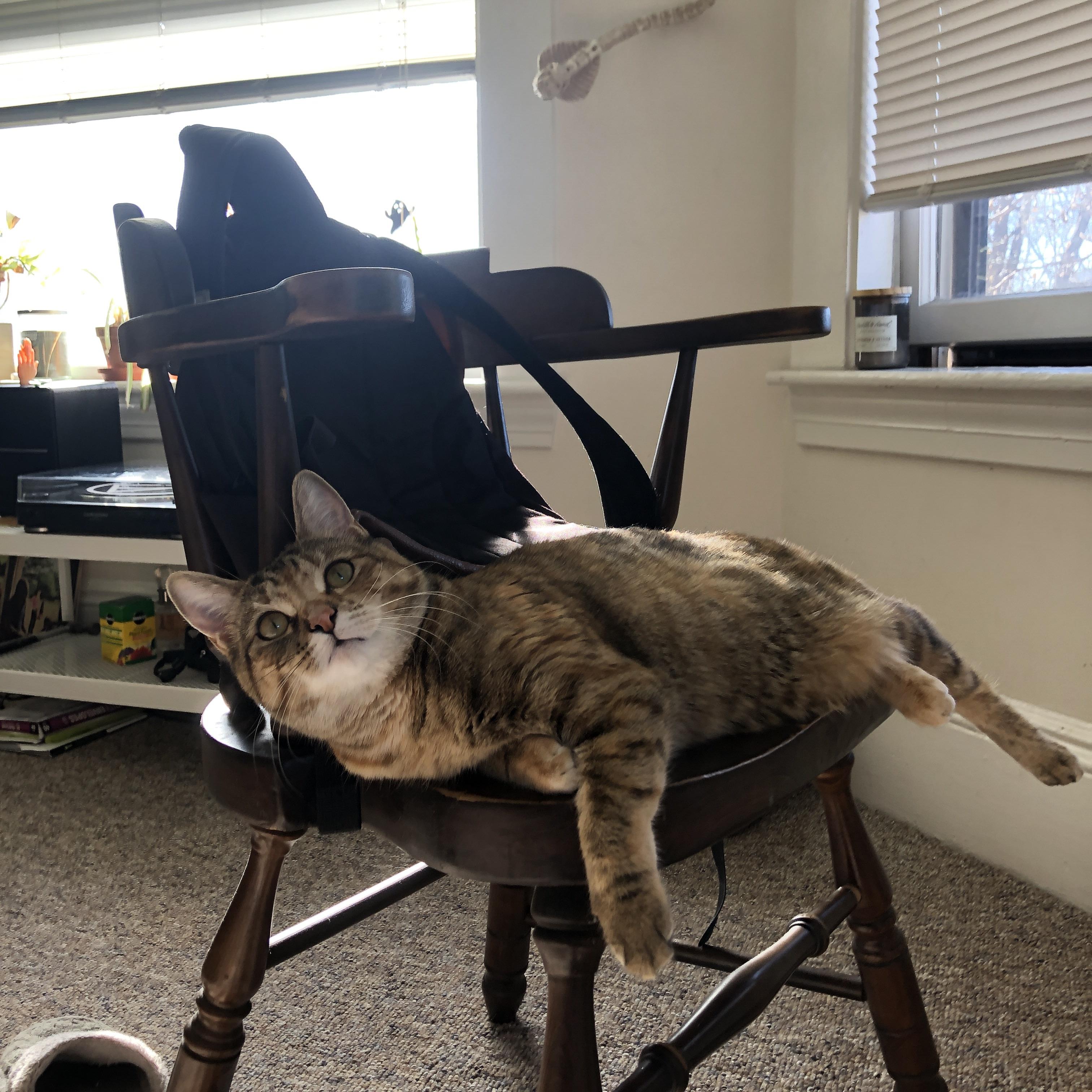 KAIYUNAPP-最佳助攻：联盟中最具创造力的传球手，nba传球大师排行