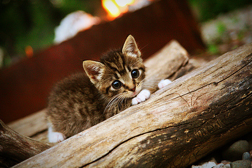 开云官网登录-RNG推行电子竞技运动伤病风险防控，电子竞技运动员常见的运动损伤有哪些_