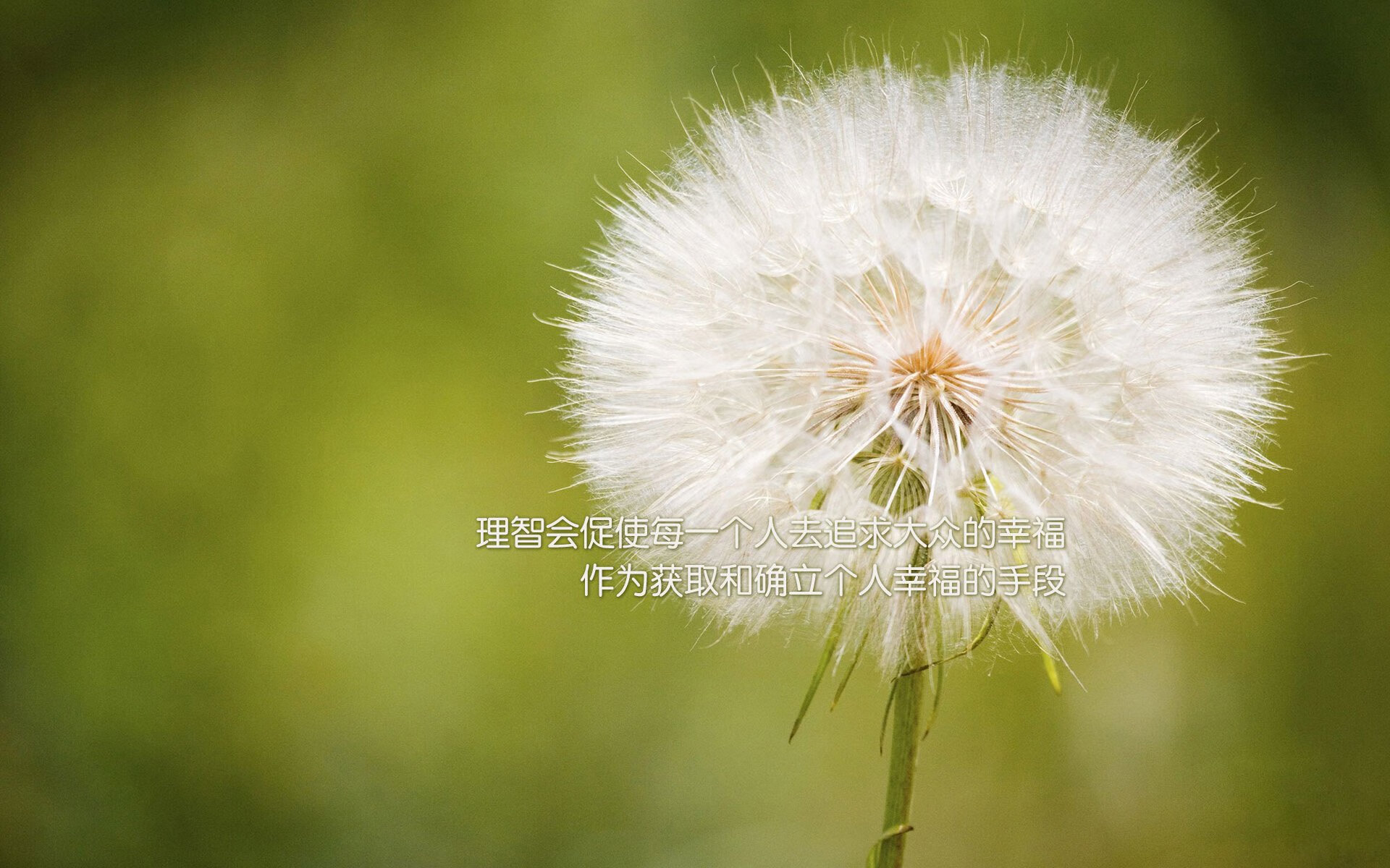 Kaiyun官方登录入口-东契奇得分助攻全面开花，东契奇助攻新高