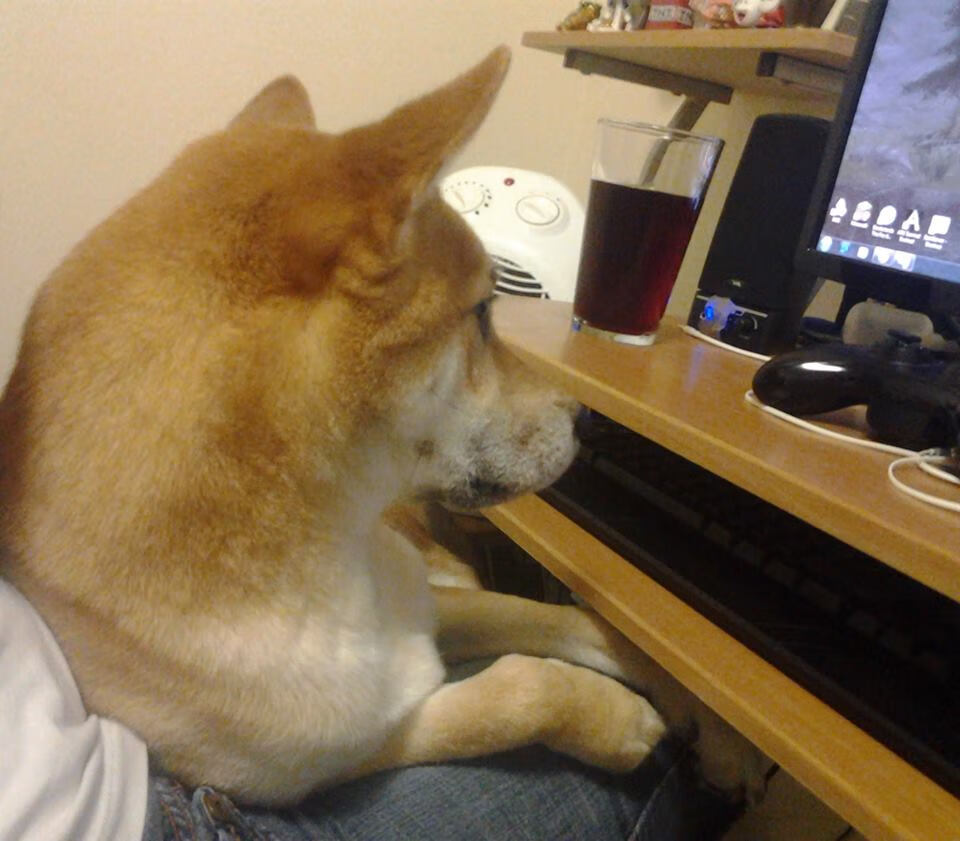 开云体育官方网入口-尼日利亚防守强度持续提升，尼日利亚实力分析