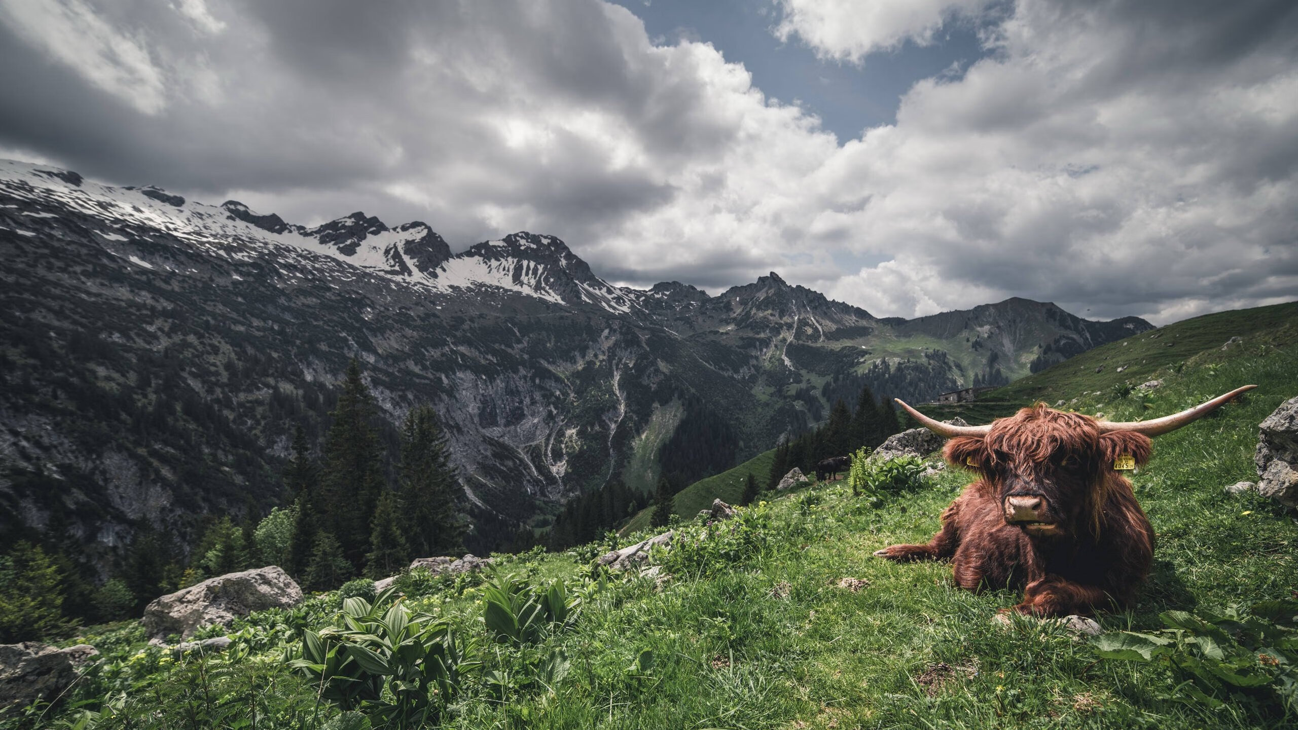 kaiyun-意外田径赛程变动引热议
