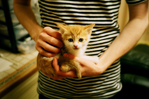 Kaiyun官方登录入口-沃尔夫斯堡坐镇主场，力争击败斯图加特，沃尔夫斯堡vs斯图加特