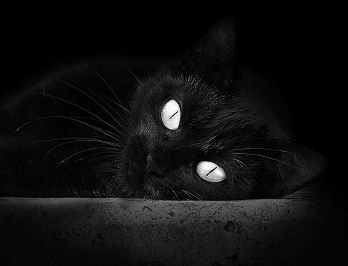 莱万特击败塞尔塔Vigo，终结连败，今日赛事莱万特vs塞维利亚