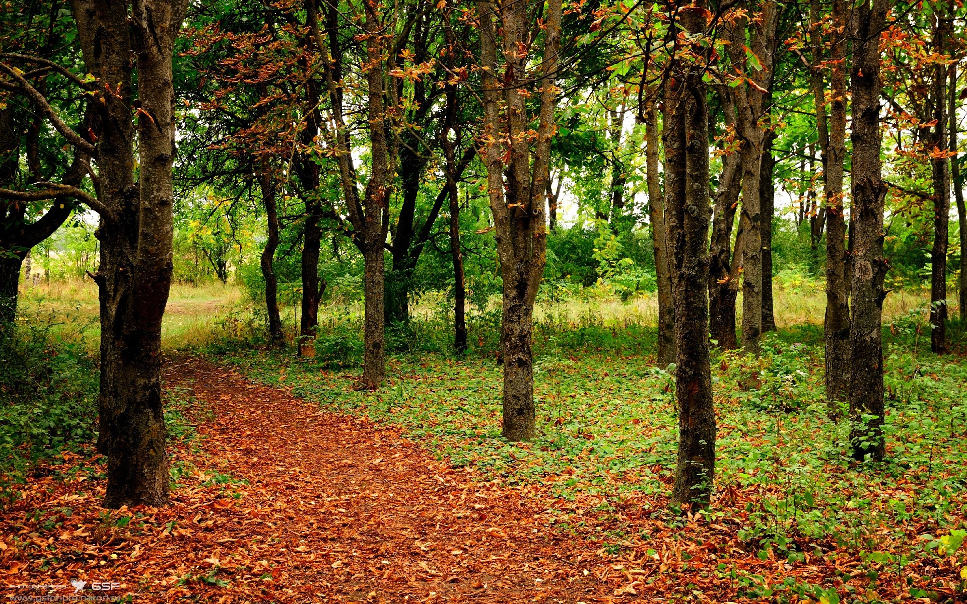 开云入口-阿尔阿赫利战术调整见成效，阿尔阿赫利足球俱乐部