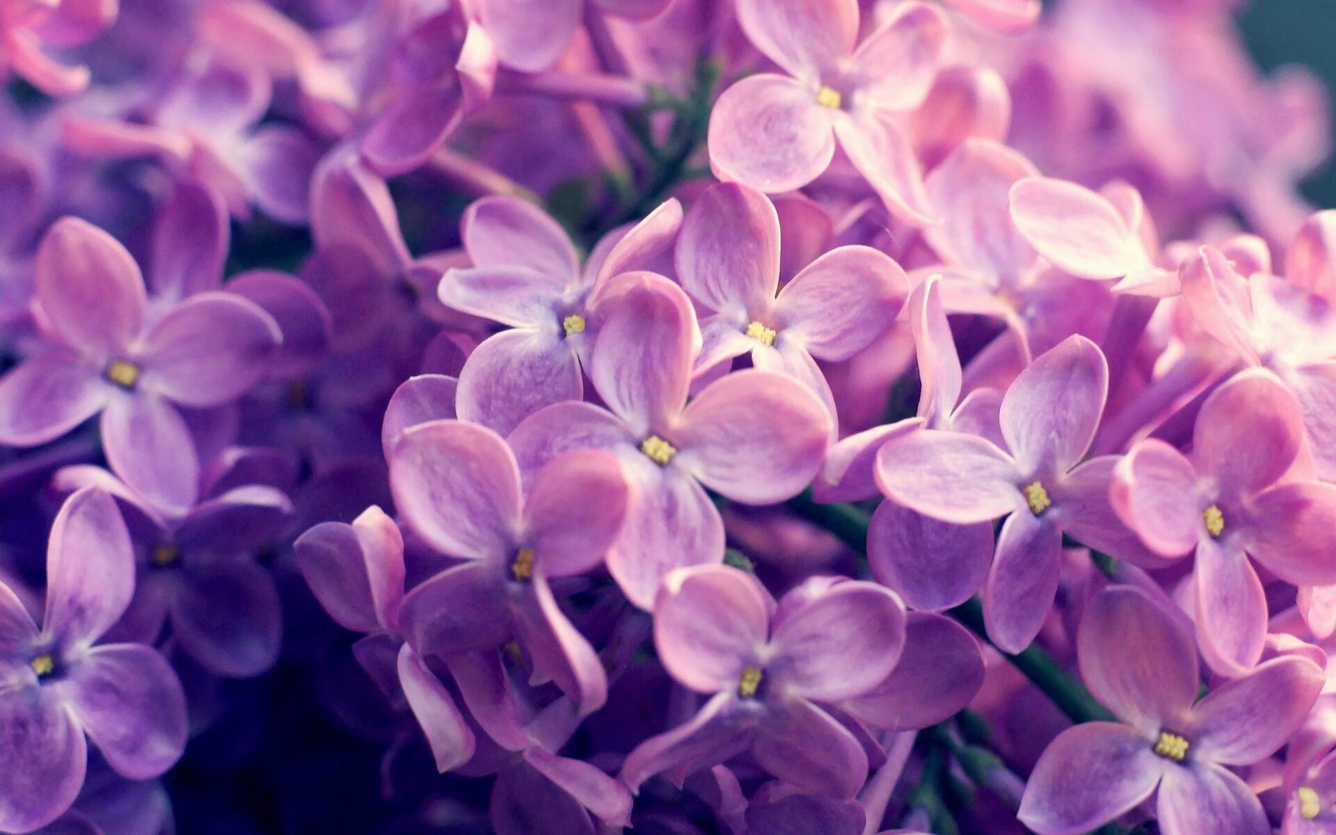 开云·体育官网APP下载-运动干预对慢性病防控成效的跟踪评估报告，运动与慢病防治心得体会